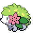 Gracedio