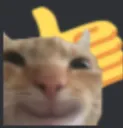 thumbcat
