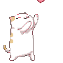 cat_catching_heart Discord emoji
