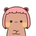 bear_no