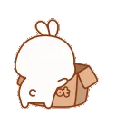 bunny_box