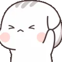 cat_no