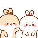 bunny_poke