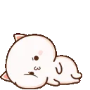 cat_angry