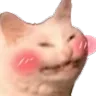 tj_catblush Discord Emoji