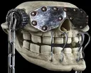 VicTroll