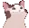 catpog