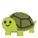 TurtleDip