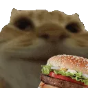 01_cat_burger