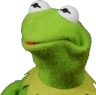 kermitconfused