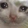 sadcatttttttt