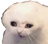 CryingCat