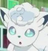 GoupixAlola_Ohhh