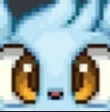 shinxeyes