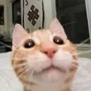 cad