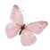 pinkbutterfly