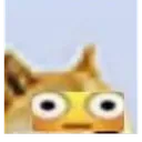oop oop