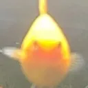 fishh