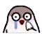 pigeon_cry