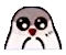 pigeon_awh