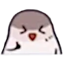 pigeon_yessus