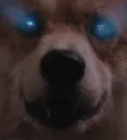 einHighAsFuck