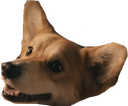 einCute Discord emoji
