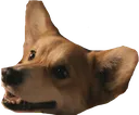 einCute