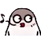 pigeon_ohmy