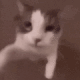 skbeijo Discord emoji