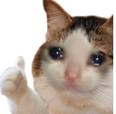 sadthumbsup Discord emoji