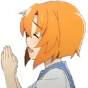 RenaPray RenaPray