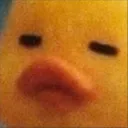 DuckSus DuckSus