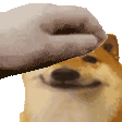 meme_pet Discord emoji