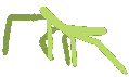 meme_stickbug Discord emoji