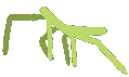 meme_stickbug