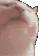 catJAM