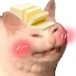 AF_Cat_Butter