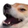 kekrvs