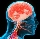 FumoBrain