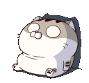 cat_shock Discord emoji