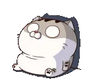 cat_shock