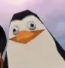pinguim Discord emoji