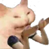 ASJared ASJared