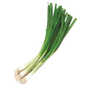 leak Discord emoji