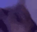 killuaemoji_funCatJump