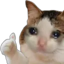 KE_catthumbsup