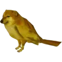 toxic_ka_kutta