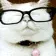 cat_bruh