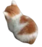 angy